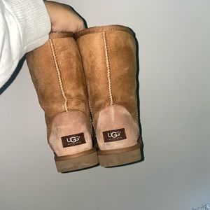 Chestnut classic uggs